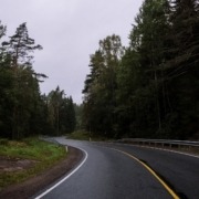 Empty road along a forest - Chip Your Car GMC Chips Improve Gas Mileage